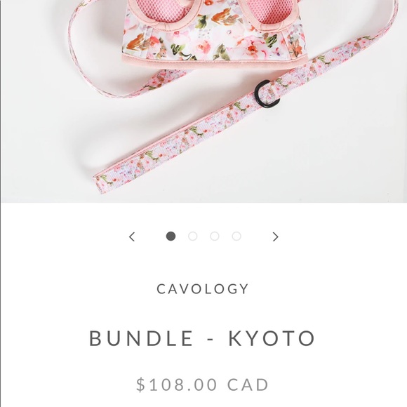 Cavology Dog bundle - Picture 5 of 5